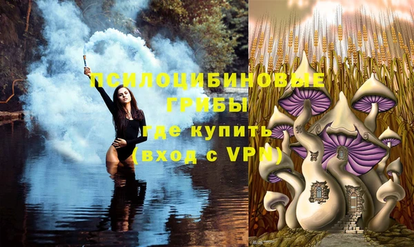 прущая мука Армянск