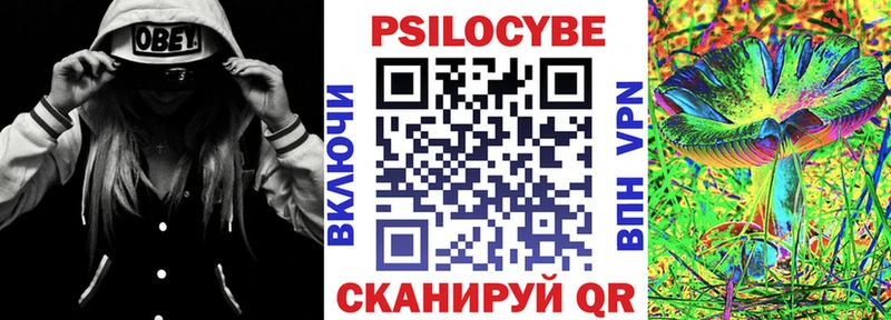 как найти   Бавлы  Псилоцибиновые грибы Psilocybine cubensis 